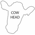 8" x 8" Cow Head Shape Hand Fan W/ Handle